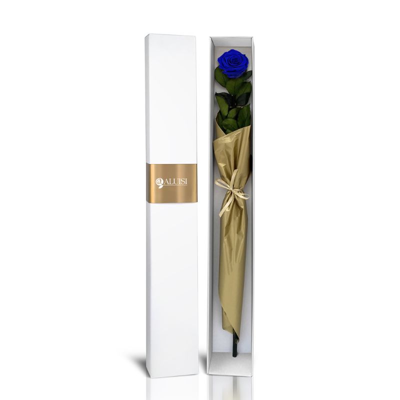 rosa blu